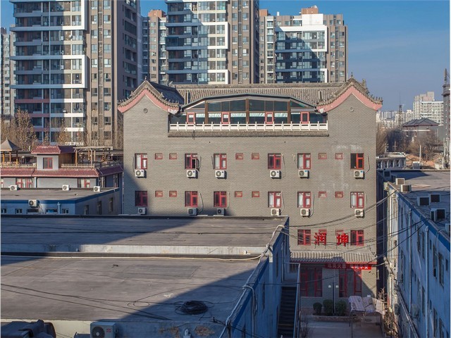 树上捕虫器供应商家