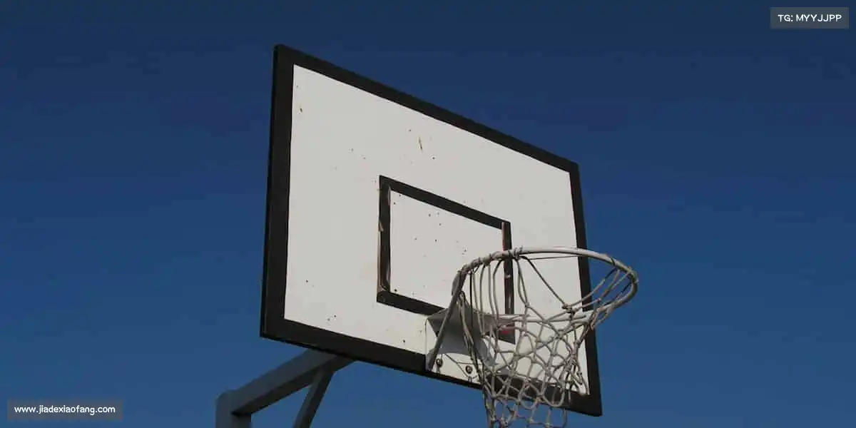 为什么选择我们